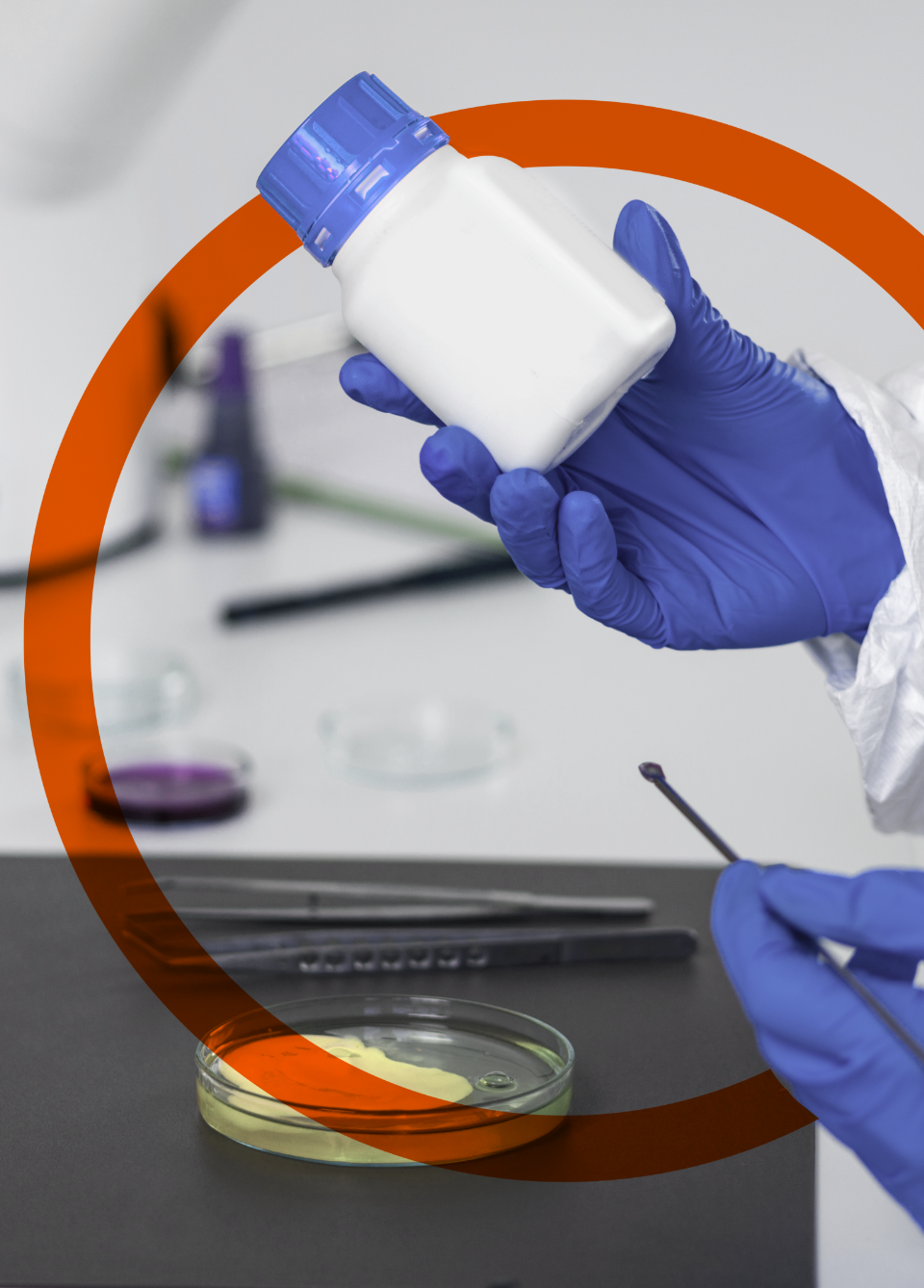 food-safety-2021-08-26-16-53-11-utch